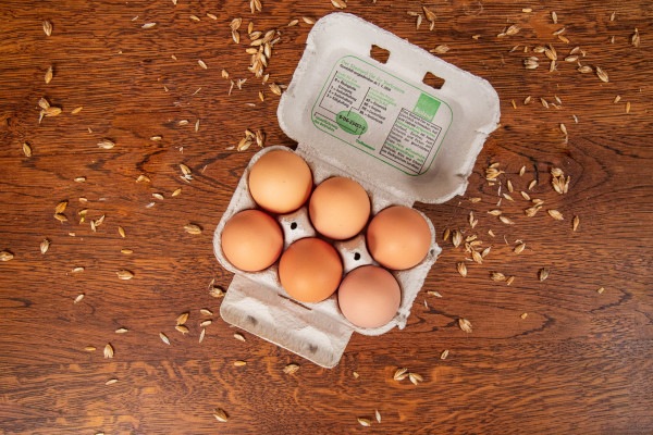 Bio Eier aus unserem mobilen Hühenrstall 6er Pack Größe L