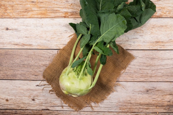 Bio Kohlrabi