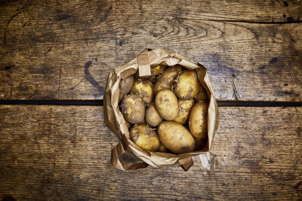Conny Kartoffeln (vorwiegend festkochend)
