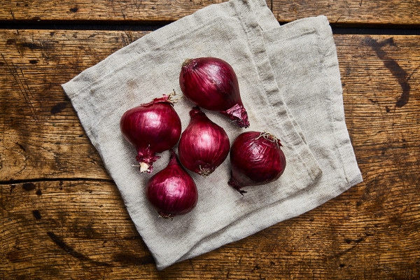 Bio Zwiebeln rot