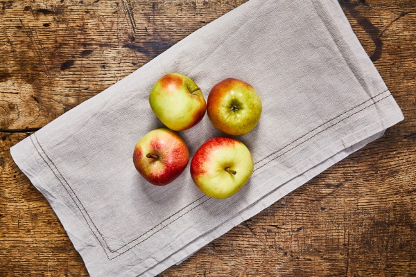 Apfel Elstar