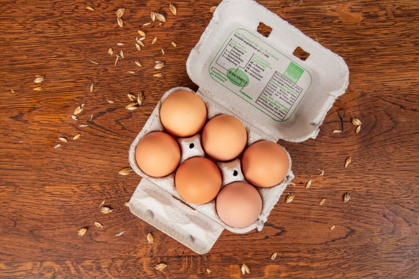 BIO Eier aus unserem mobilen Hühnerstall, 6er Pack Größe M