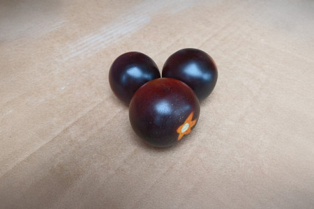 Bio schwarzrote Cocktailtomate