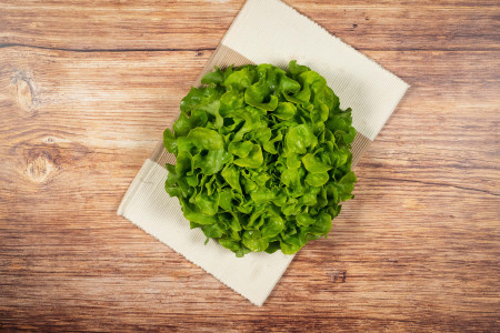 BIO Eichblattsalat grün
