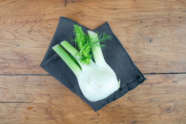 Fenchel