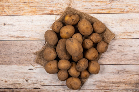 Bio Kartoffel Talent (mehlig kochend)